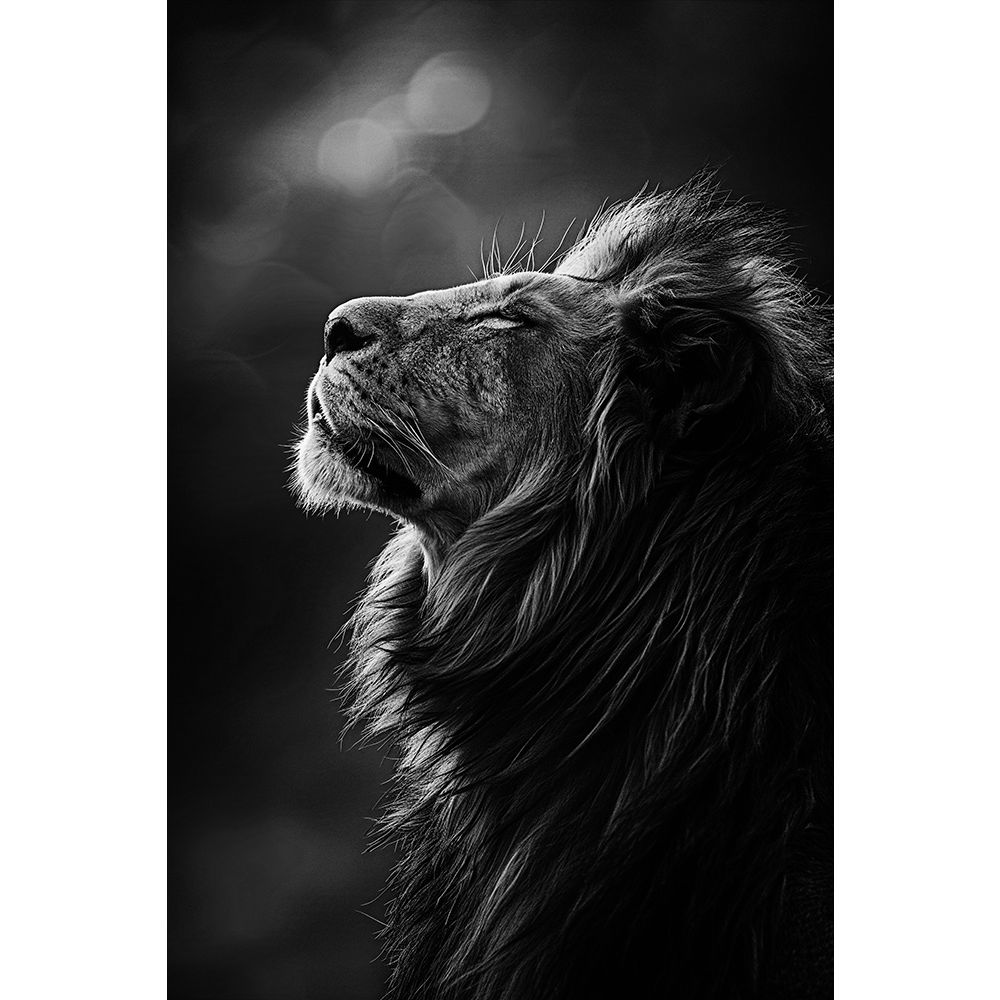 Art mural Animaux 785 21/50