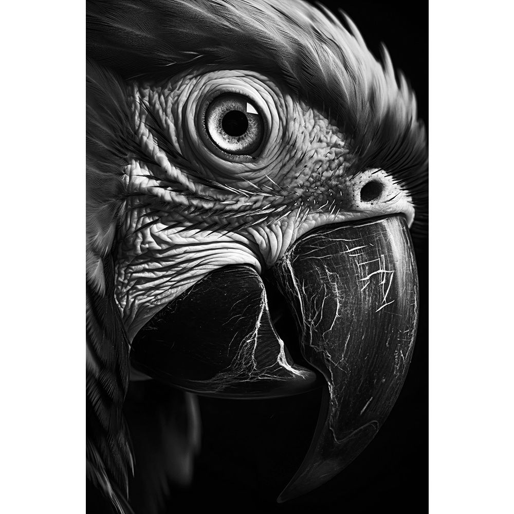 Art mural Animaux 752 21/50
