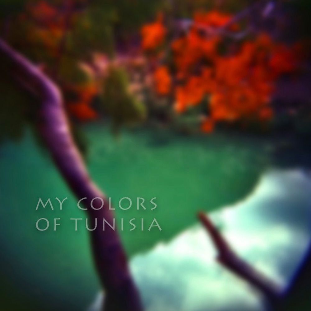 Mes couleurs de Tunisie